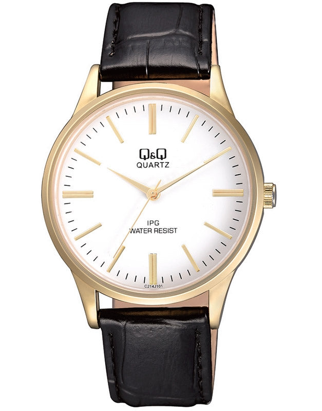 Ceas barbatesc Q&Q C214J101Y Standard